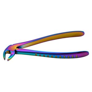 Lower Premolars Multi color