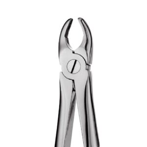 Upper Anterior Forceps 1