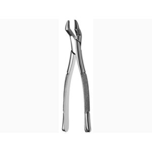 Upper Molar Forceps 10S