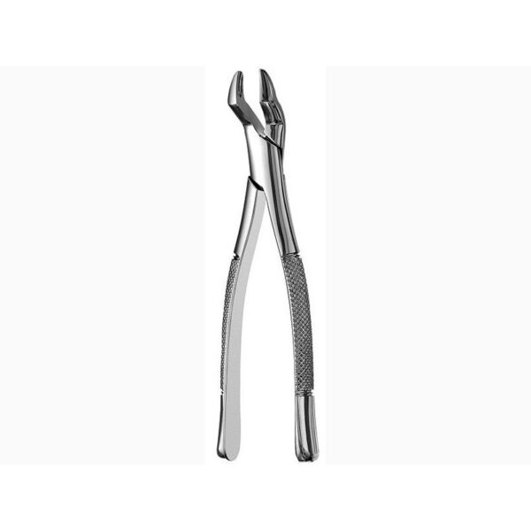 Upper Molar Forceps 10S