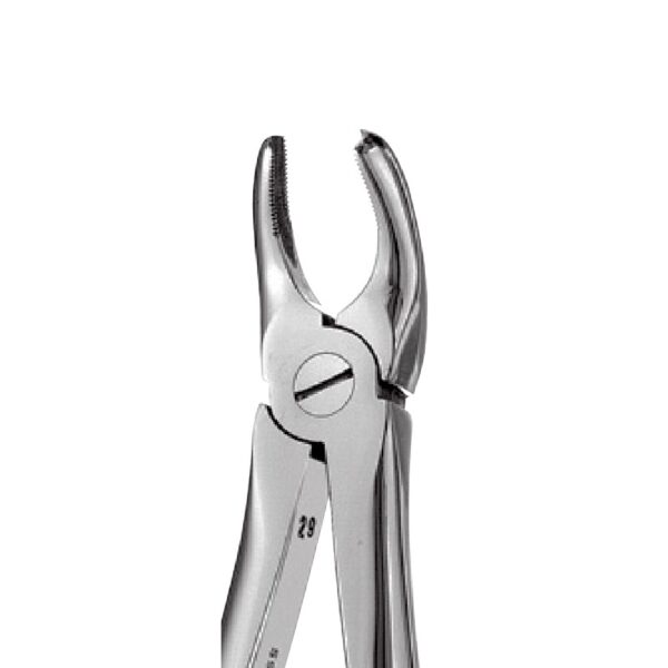 Left Upper Molars Forceps 18