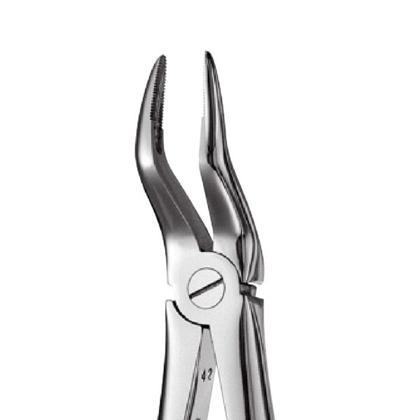 Upper Roots Forceps 51A