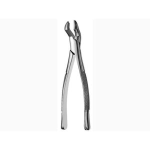 Upper Molar Forceps 53L