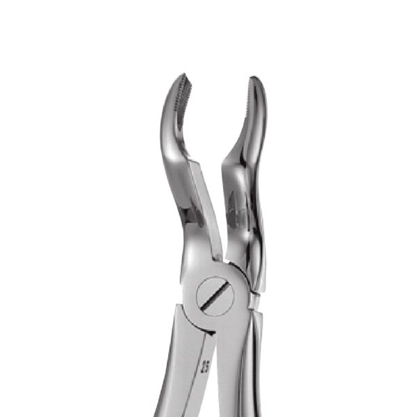 Upper Third Molars Forceps 67A