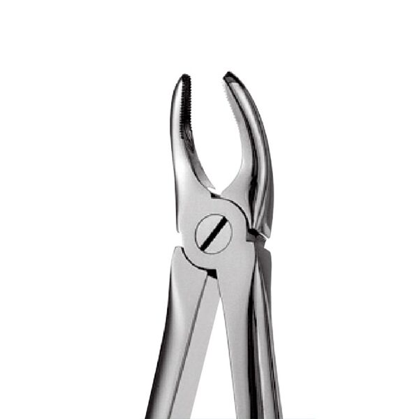 Upper Premolars Forceps 7