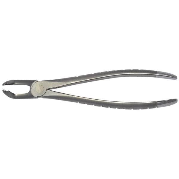 Lower 3rd Molars Forceps 79