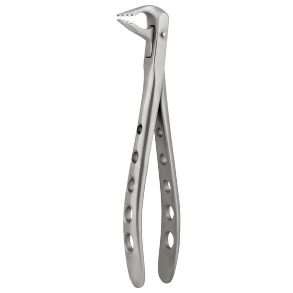 Lower Anterior Forceps eXcel™