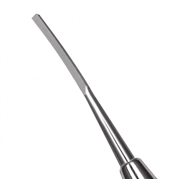 5/6 Wedelstaedt Chisel